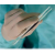 Γάντια Peha-Micron Plus μικροχειρουργικής αποστειρωμένα χωρίς πούδρα Νο 7 (50τεμ) κωδ.:9425732